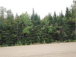 Land/Lot