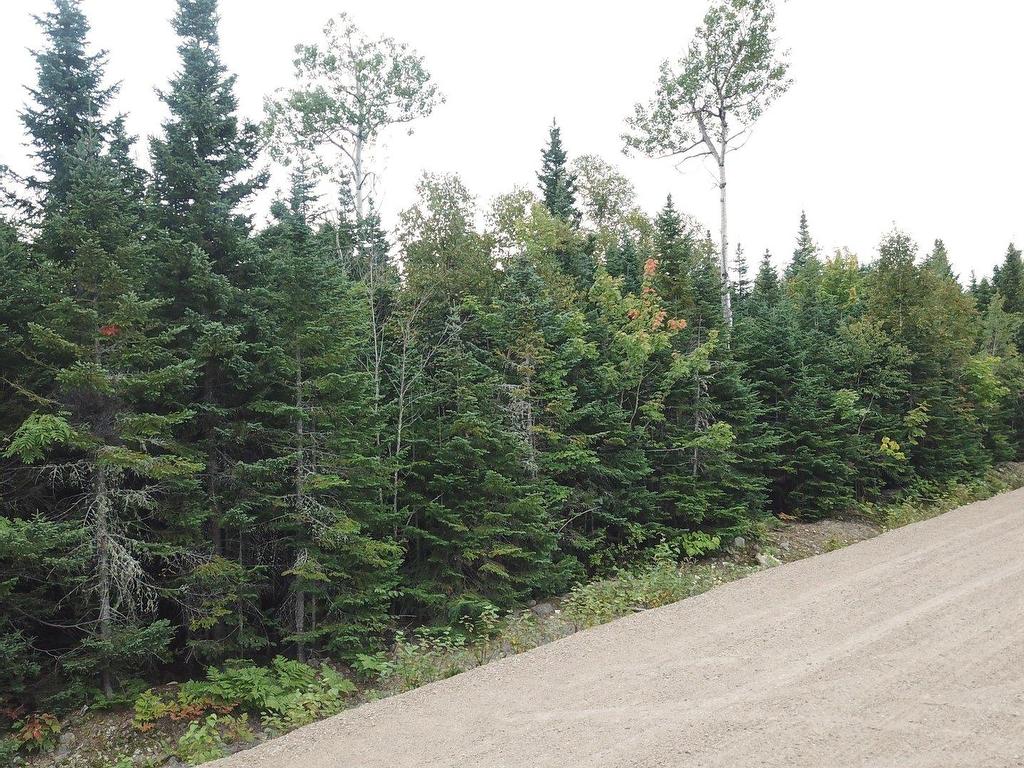 












Ch. Paul-Émile-Borduas

,
Petite-Rivière-Saint-François,







QC
G0A2L0

