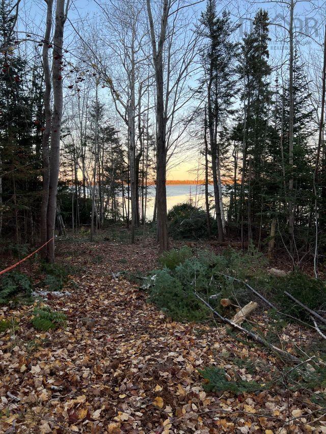 












Lot 01 Highway 6

,
East Wallace,







NS
B0K 1Y0

