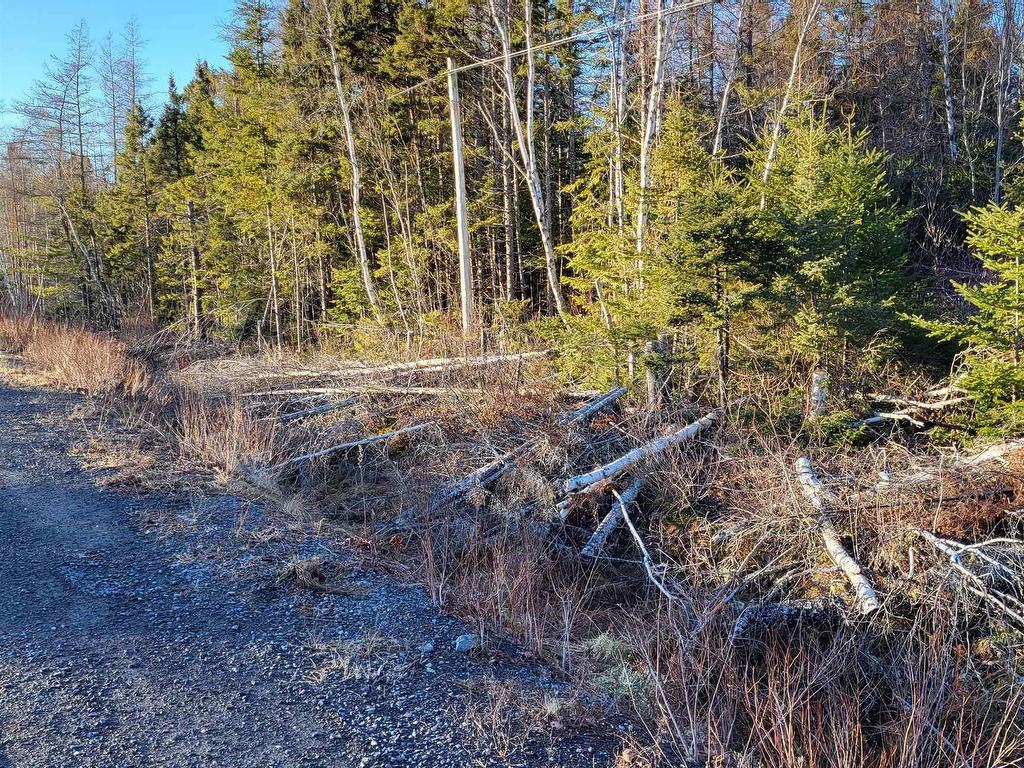 












Lot 21-2 Country Harbour Road

,
Melrose,







NS
B0H 1J0

