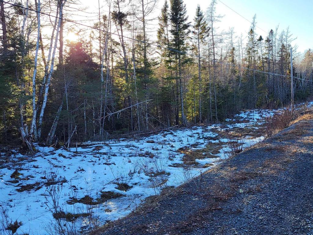 












Lot 21-2 Country Harbour Road

,
Melrose,







NS
B0H 1J0


