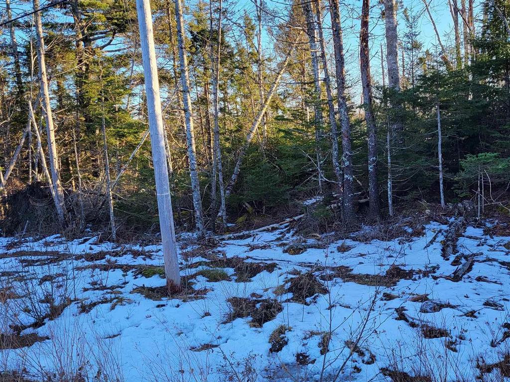 












Lot 21-2 Country Harbour Road

,
Melrose,







NS
B0H 1J0

