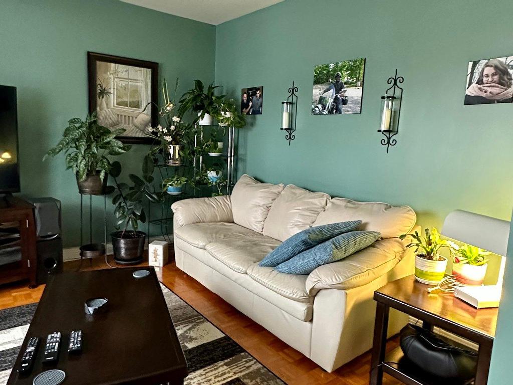 









718

 - 720


Rue Williams

,
Trois-Rivières,




QC
G9A3J6

