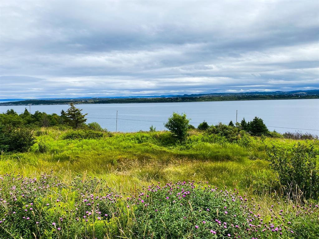 









58


Anthonys

Road,
Spaniards Bay,







NL
A0A 3X0

