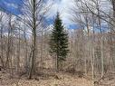 Land/Lot