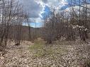 Land/Lot