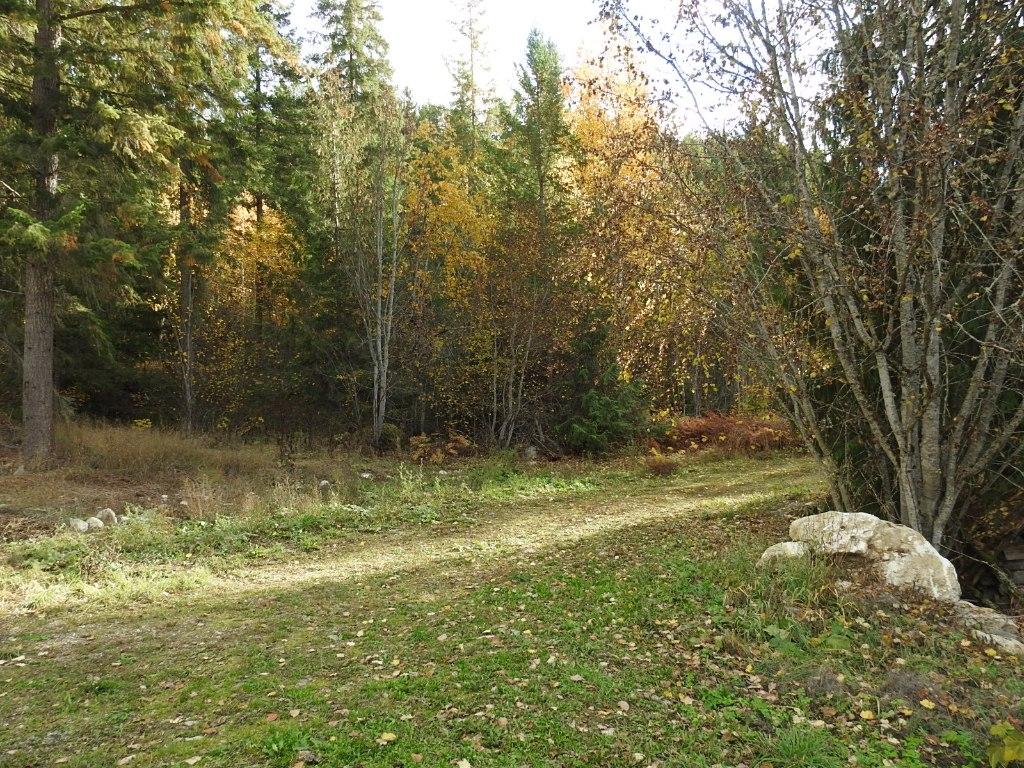 









50


East Poirier

Road,
Mara,




BC
V0E 2K0

