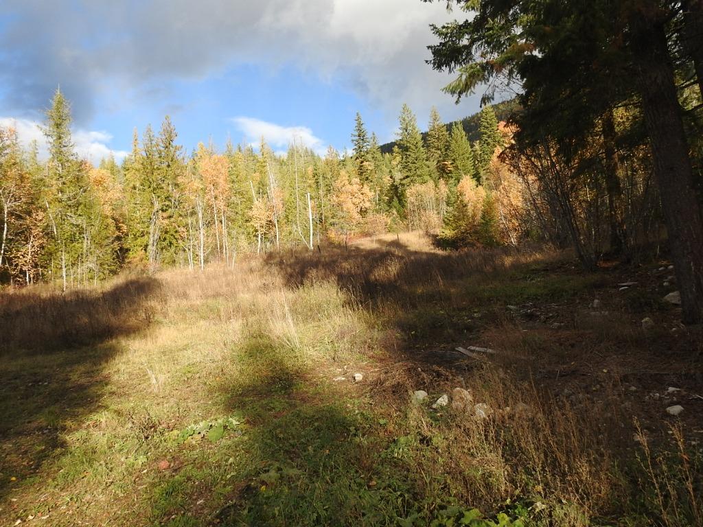 









50


East Poirier

Road,
Mara,




BC
V0E 2K0

