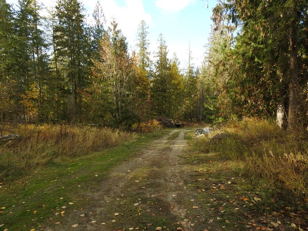 









50


East Poirier

Road,
Mara,




BC
V0E 2K0


