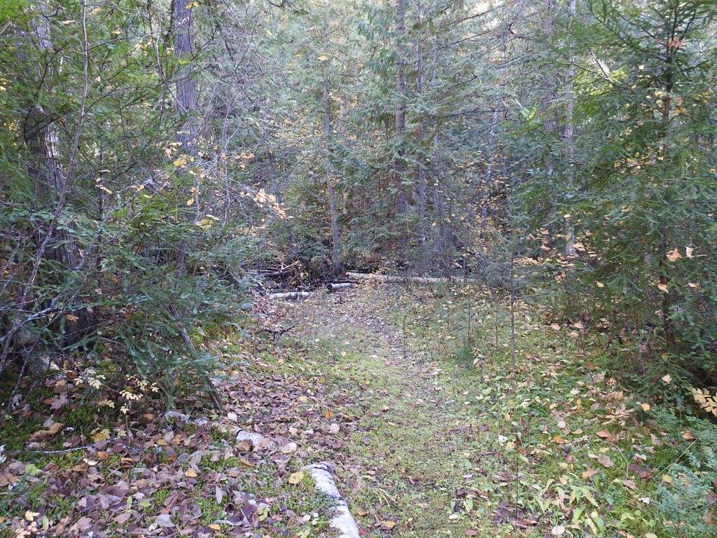 









50


East Poirier

Road,
Mara,




BC
V0E 2K0

