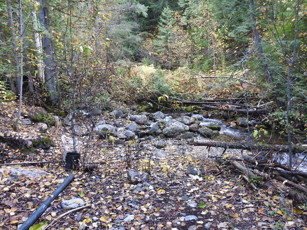 









50


East Poirier

Road,
Mara,




BC
V0E 2K0

