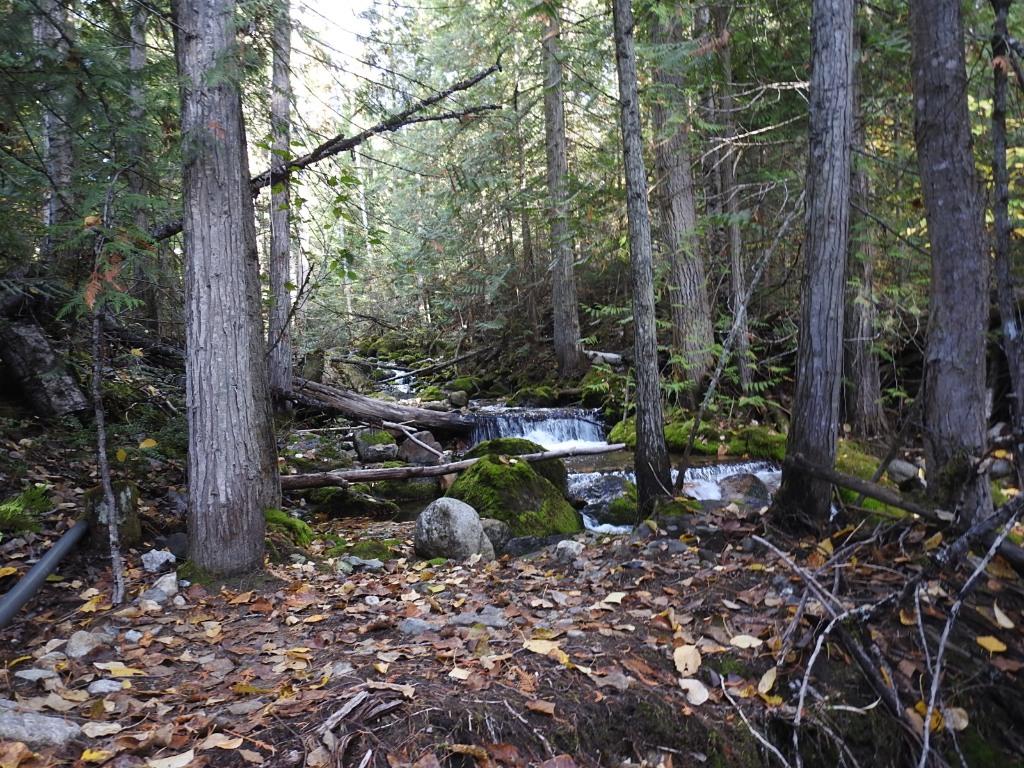 









50


East Poirier

Road,
Mara,




BC
V0E 2K0

