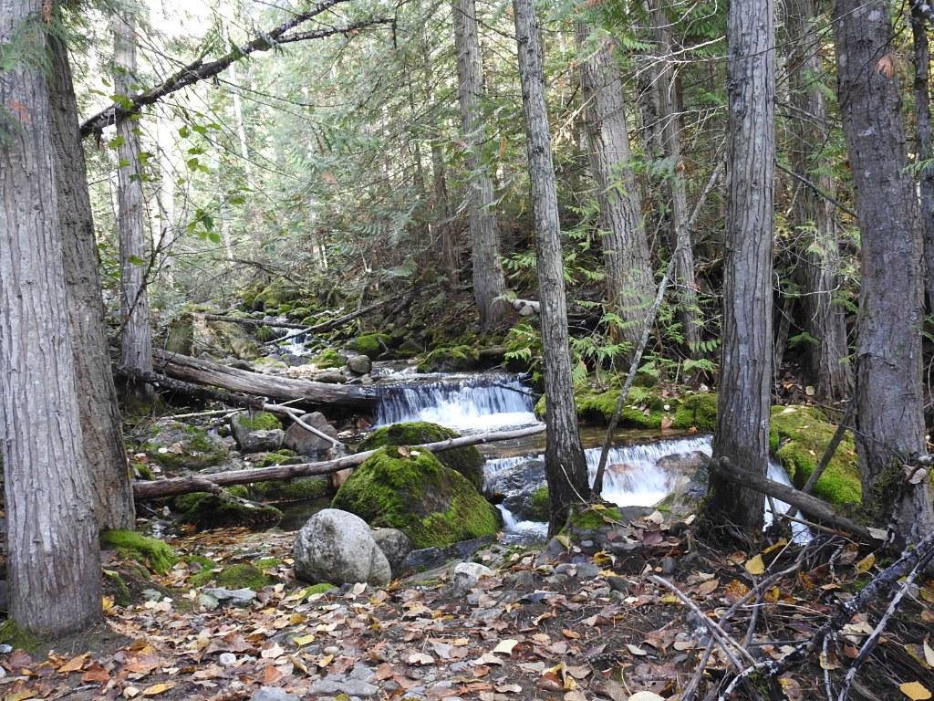 









50


East Poirier

Road,
Mara,




BC
V0E 2K0

