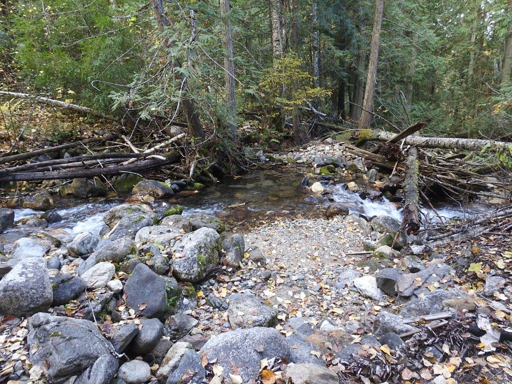 









50


East Poirier

Road,
Mara,




BC
V0E 2K0

