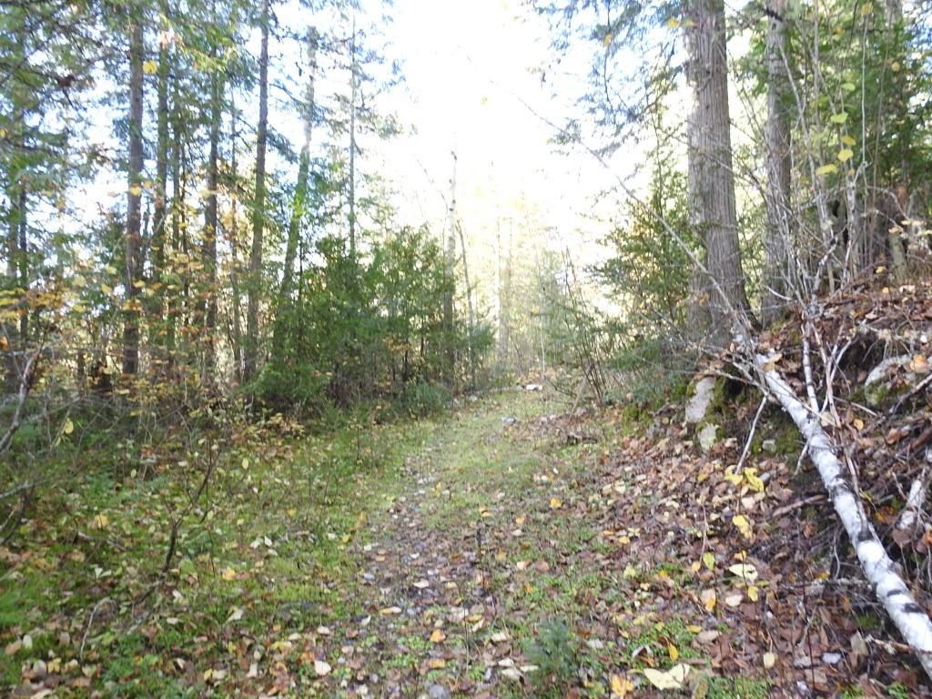 









50


East Poirier

Road,
Mara,




BC
V0E 2K0

