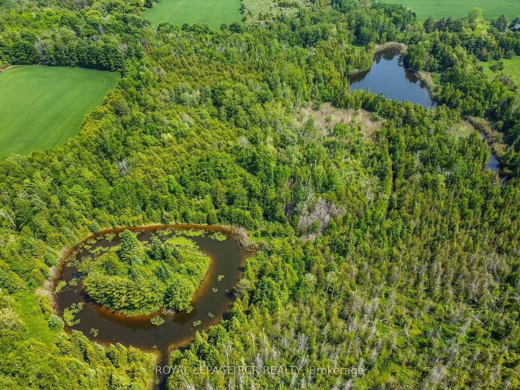 









19455


Shaws Creek

Road,
Caledon,




ON
L7K 1L5

