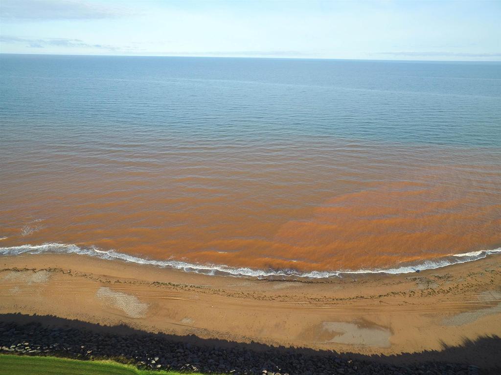 












Nail Pond Shore Road

,
Nail Pond,







PE
C0B 2B0

