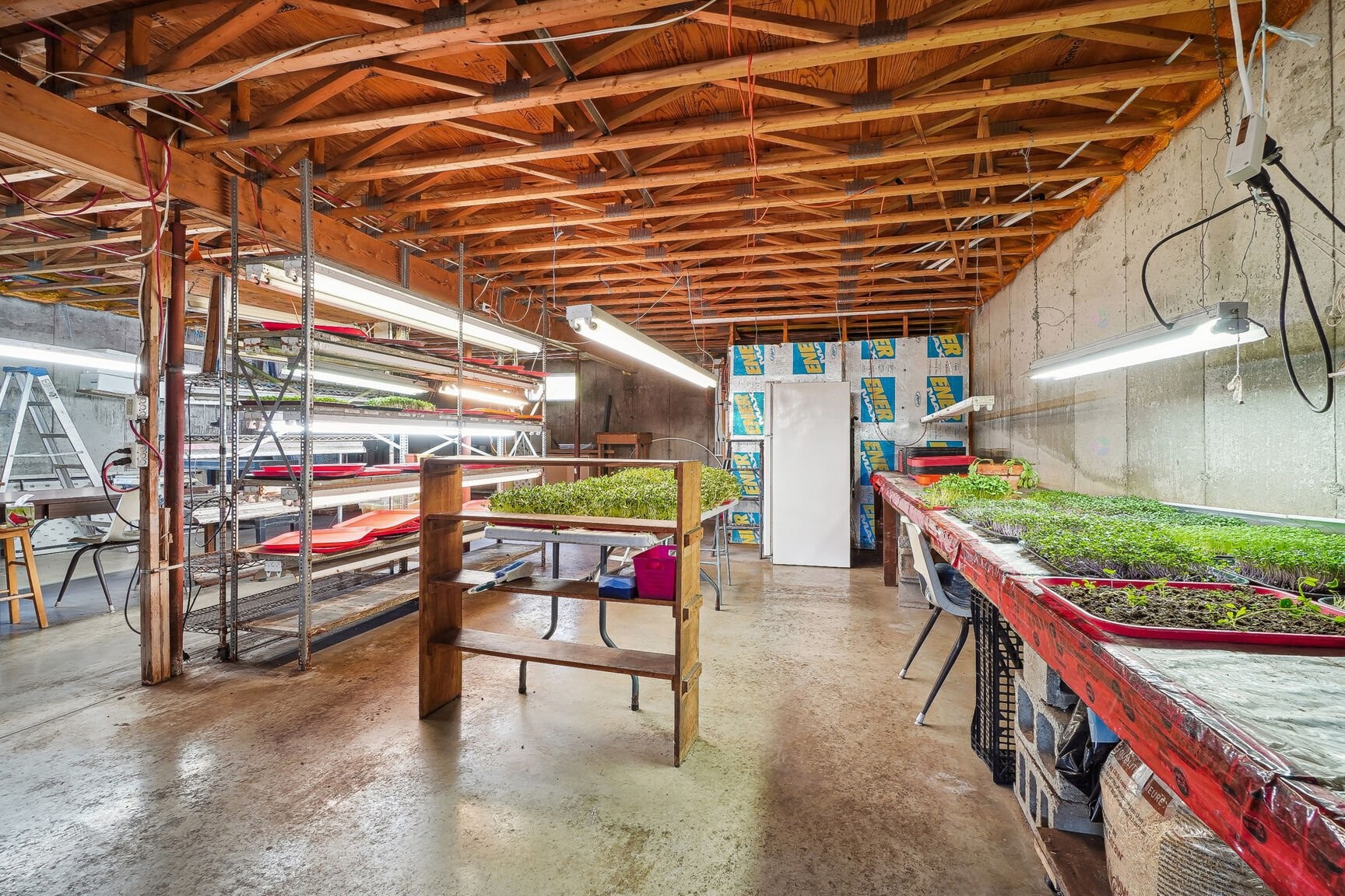 









81


Rg des Étangs

,
Mont-Saint-Hilaire,




QC
J3G4S6

