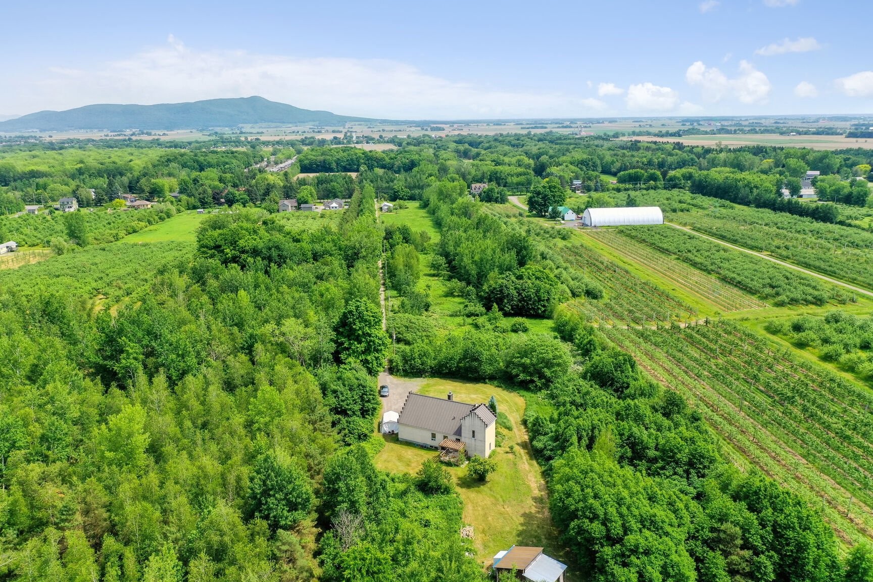 









81


Rg des Étangs

,
Mont-Saint-Hilaire,




QC
J3G4S6

