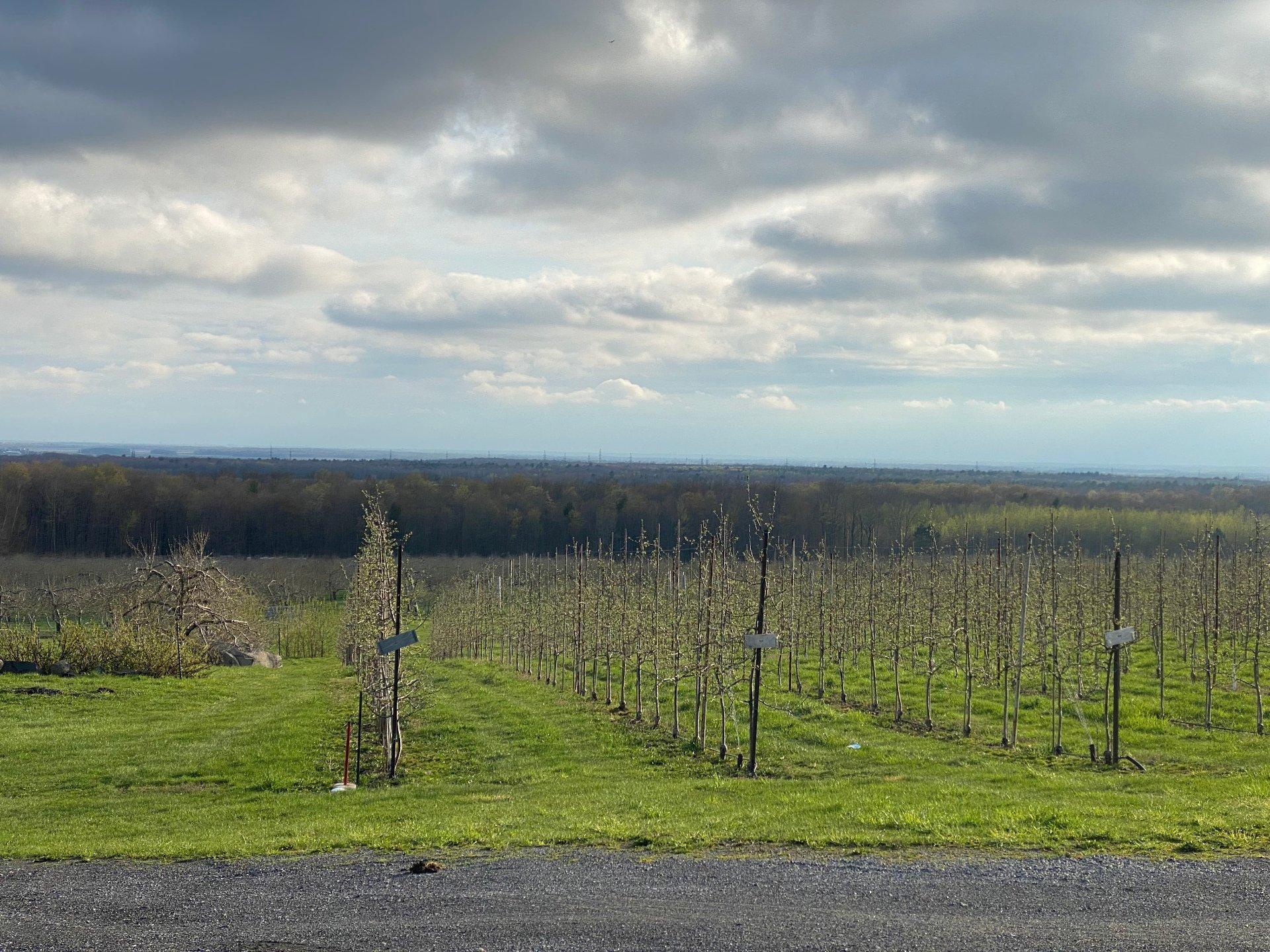 









1066


Ch. de la Montagne

,
Mont-Saint-Hilaire,




QC
J3G4S6

