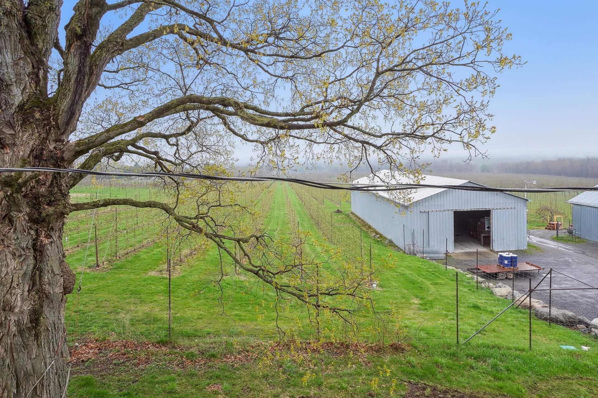 









1066


Ch. de la Montagne

,
Mont-Saint-Hilaire,




QC
J3G4S6

