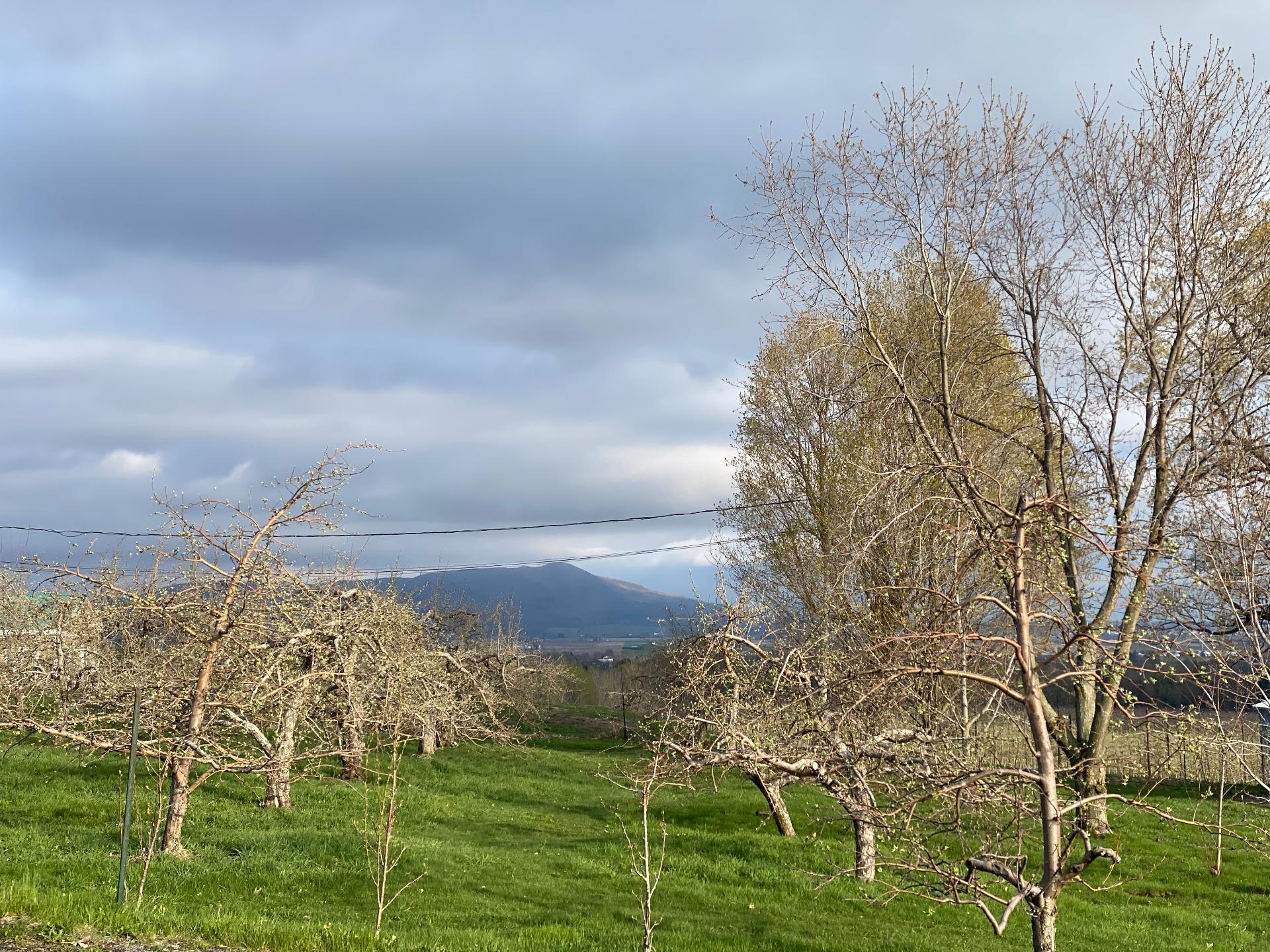 









1066


Ch. de la Montagne

,
Mont-Saint-Hilaire,




QC
J3G4S6

