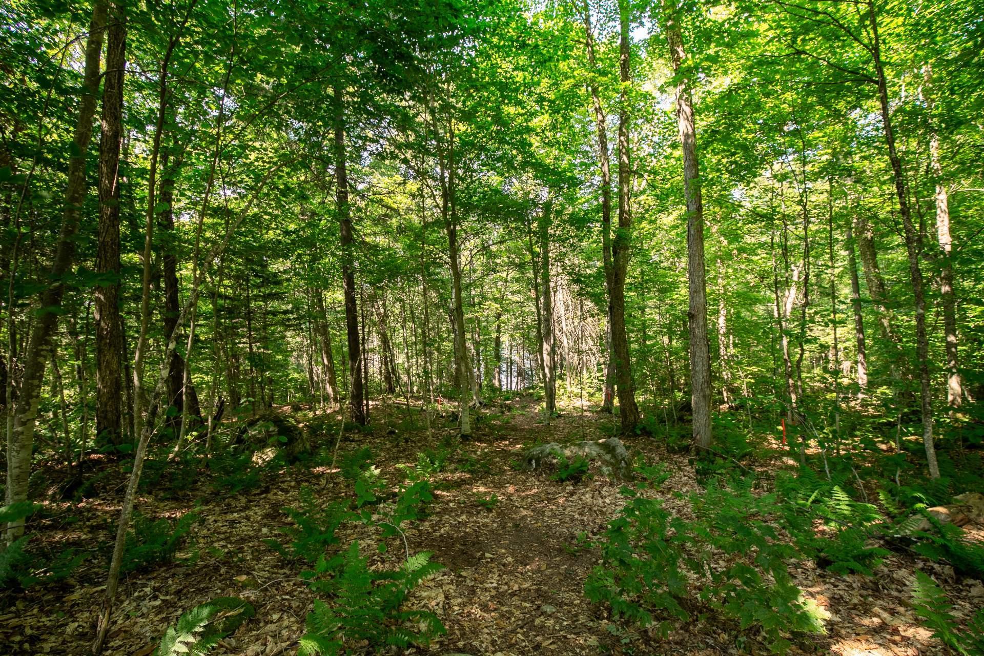 












20e Rue

,
Saint-Adolphe-d'Howard,







QC
J0T2B0


