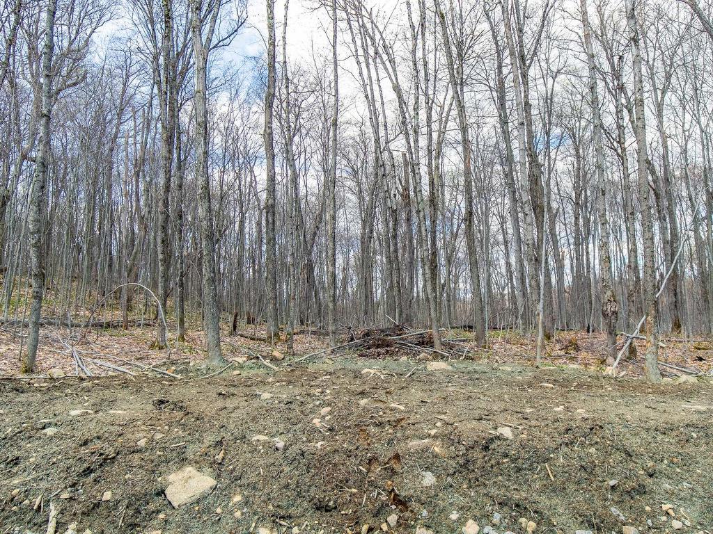 












20e Rue

,
Saint-Adolphe-d'Howard,




QC
J0T2B0

