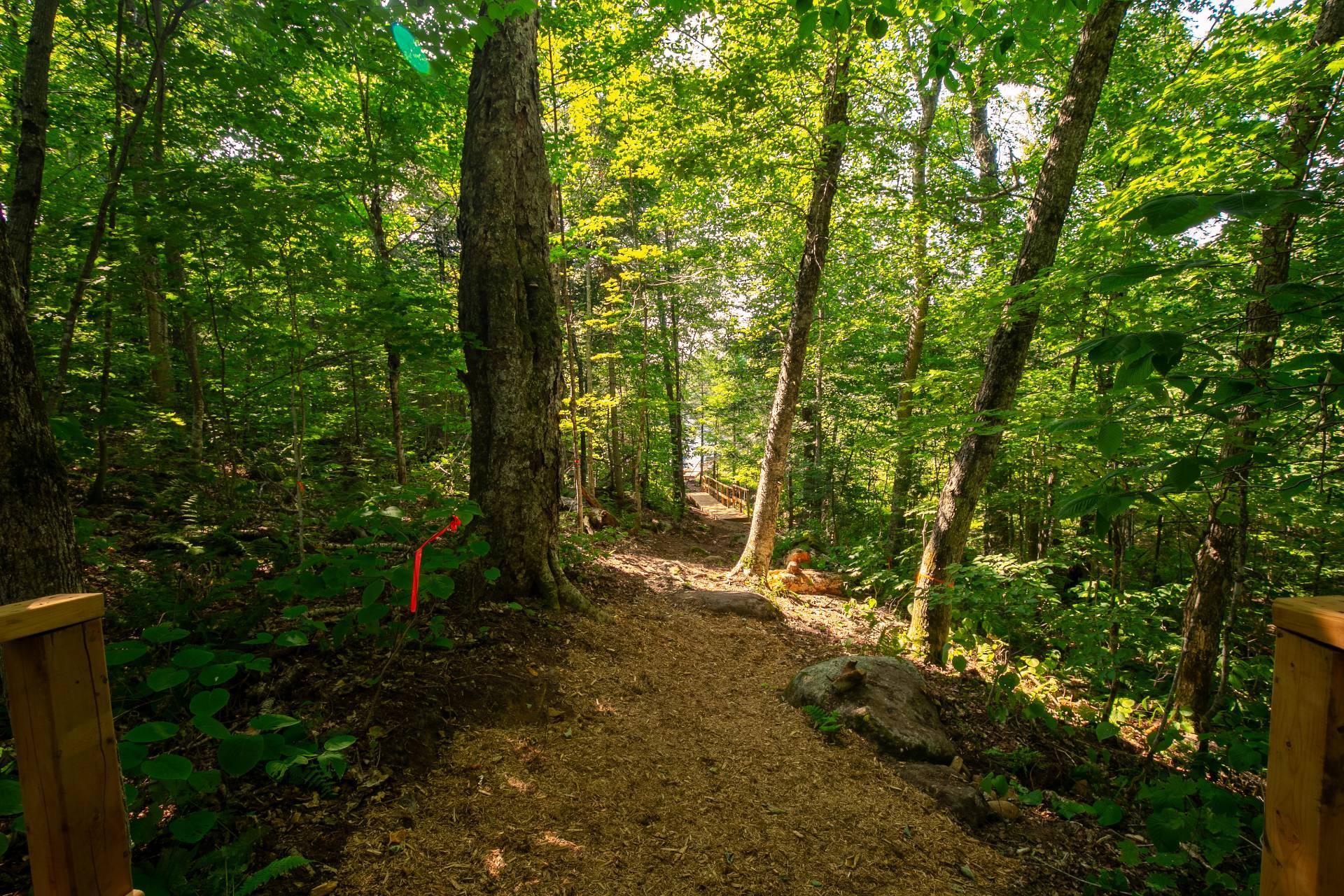 












20e Rue

,
Saint-Adolphe-d'Howard,




QC
J0T2B0

