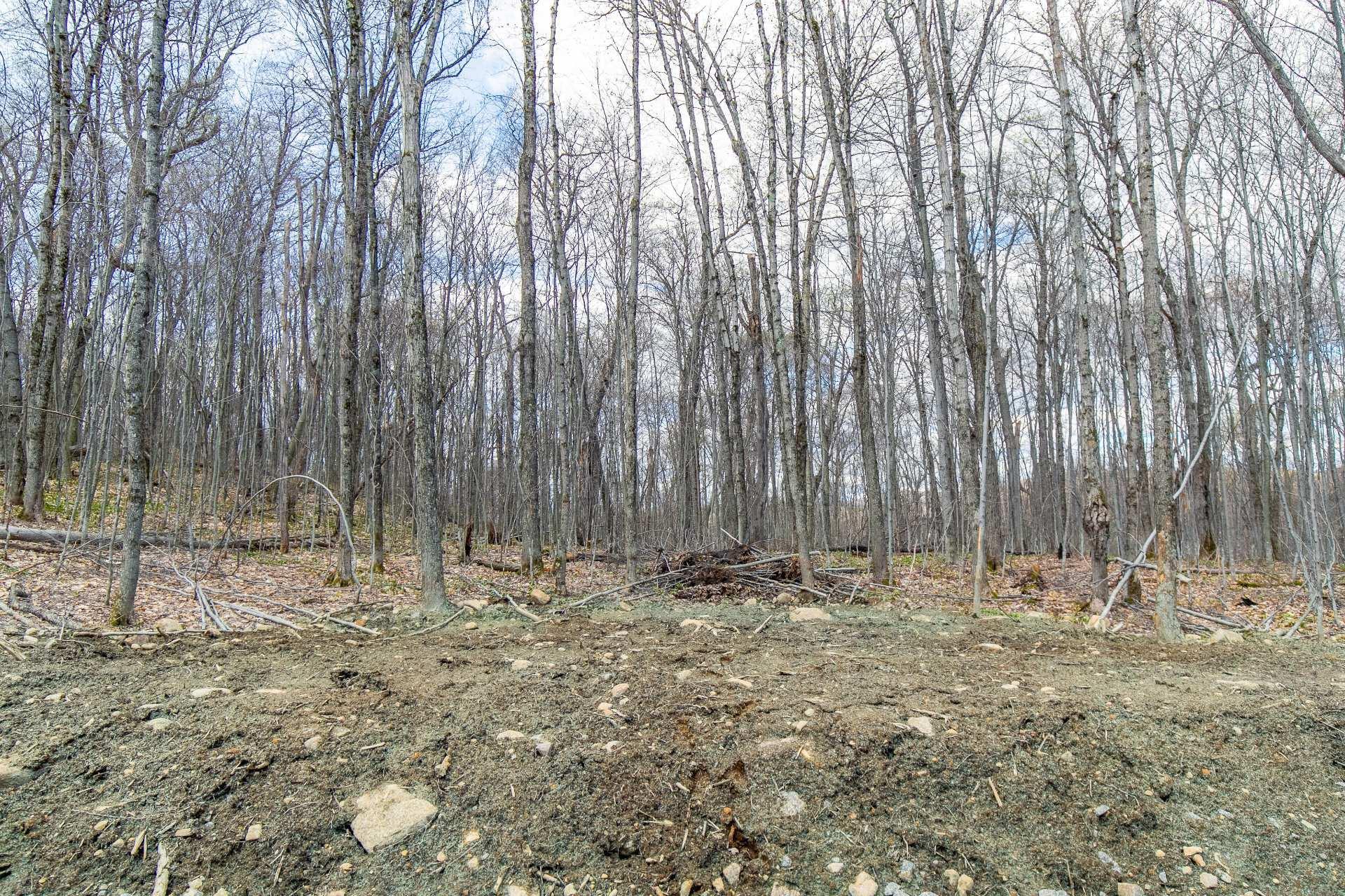 












20e Rue

,
Saint-Adolphe-d'Howard,




QC
J0T2B0

