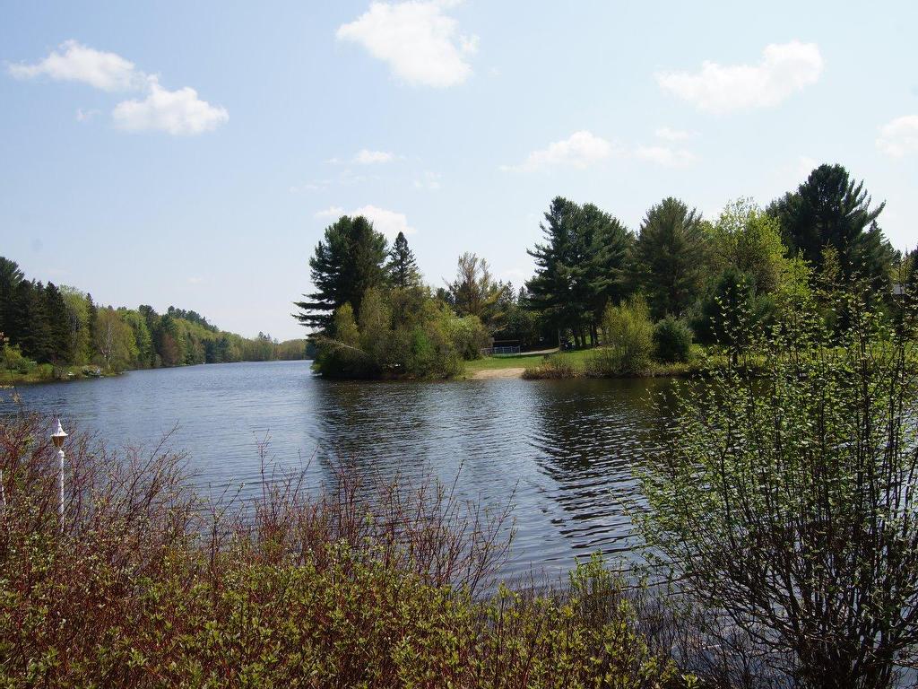 









36


1re rue Bastien

,
Saint-Alphonse-Rodriguez,




QC
J0K1W0

