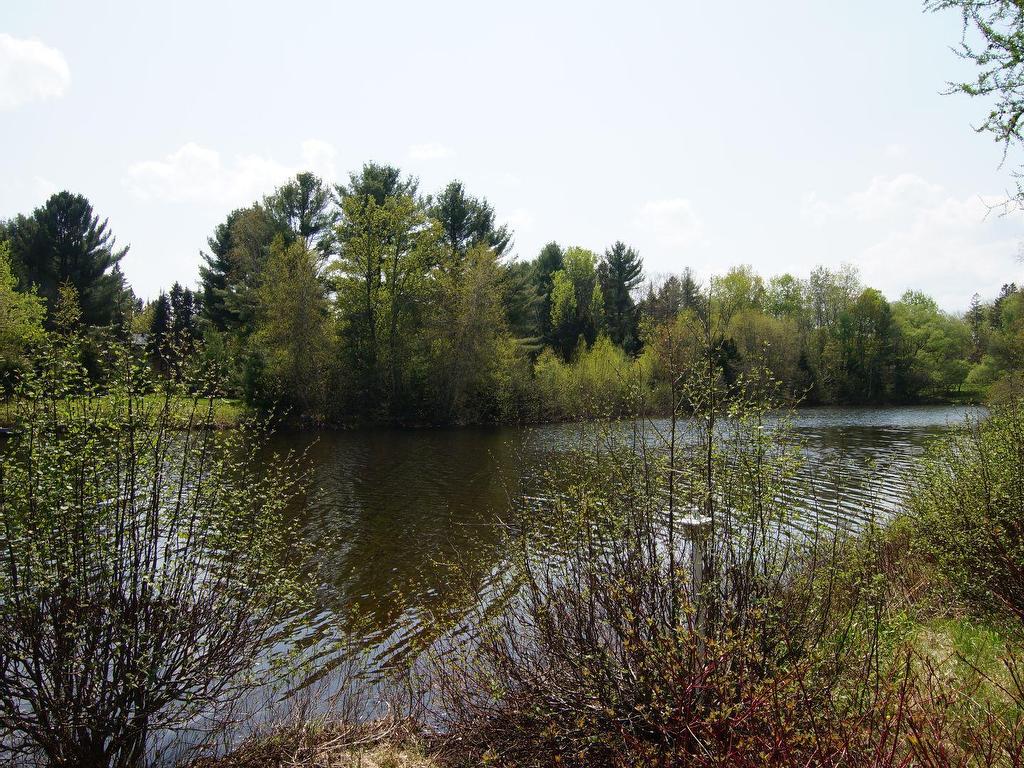 









36


1re rue Bastien

,
Saint-Alphonse-Rodriguez,




QC
J0K1W0


