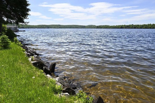 Bord de l'eau
