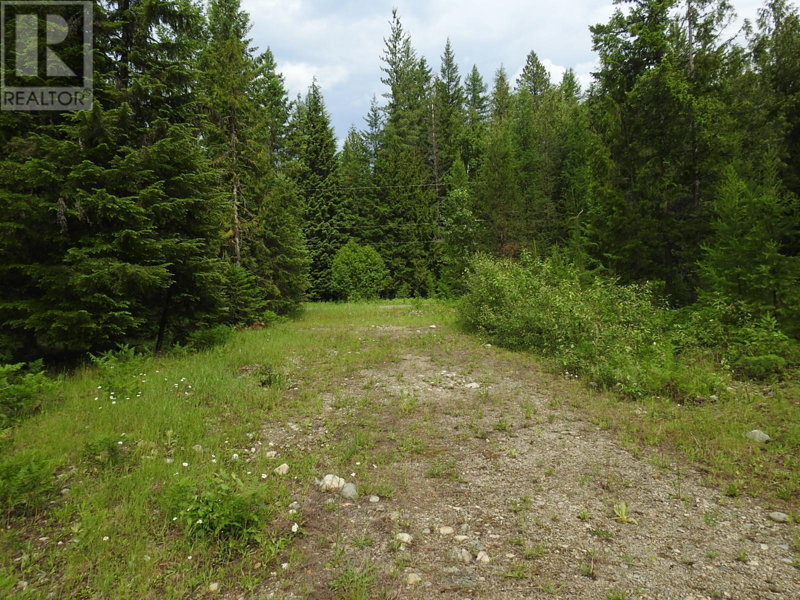 












9700 6 Highway

,
Edgewood,







British Columbia
V0G1J0

