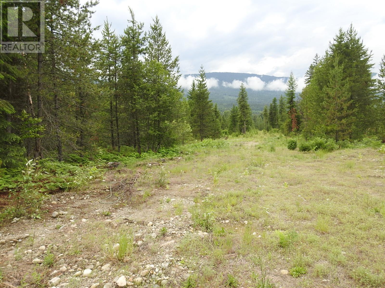 












9700 6 Highway

,
Edgewood,







British Columbia
V0G1J0

