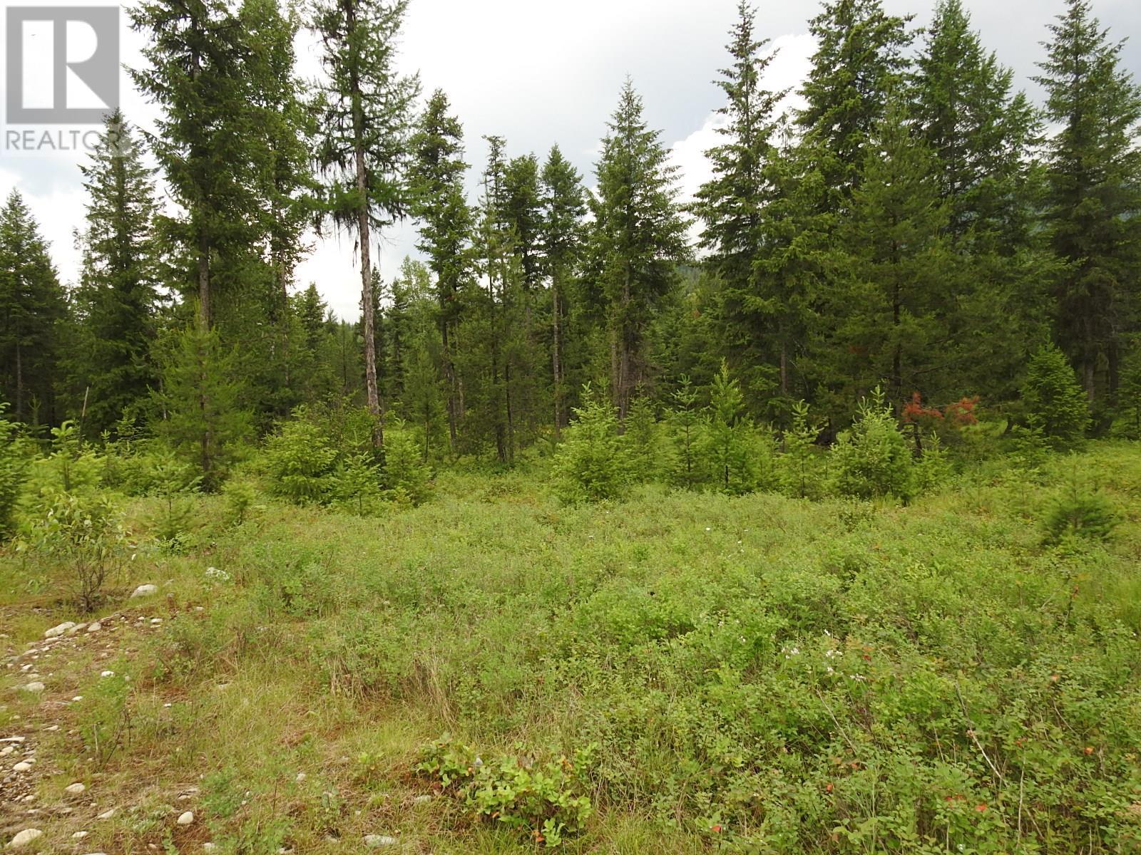 












9700 6 Highway

,
Edgewood,







British Columbia
V0G1J0

