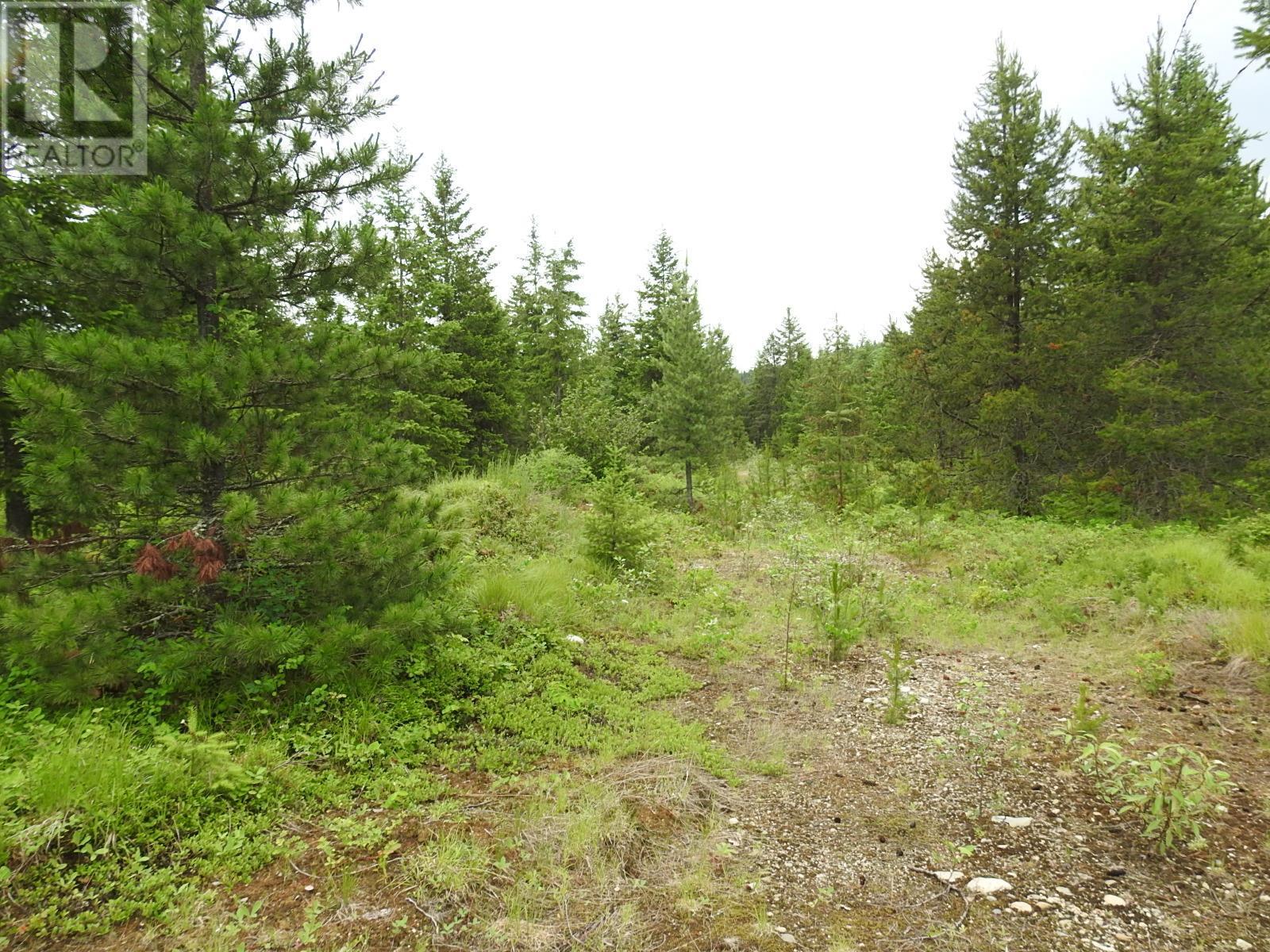 












9700 6 Highway

,
Edgewood,







British Columbia
V0G1J0


