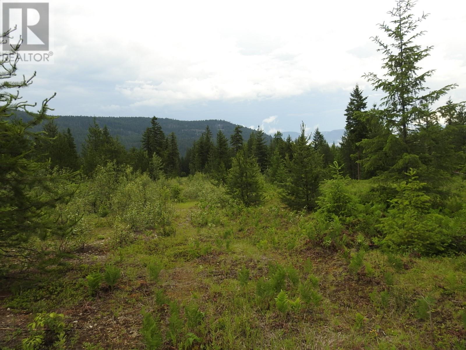 












9700 6 Highway

,
Edgewood,







British Columbia
V0G1J0

