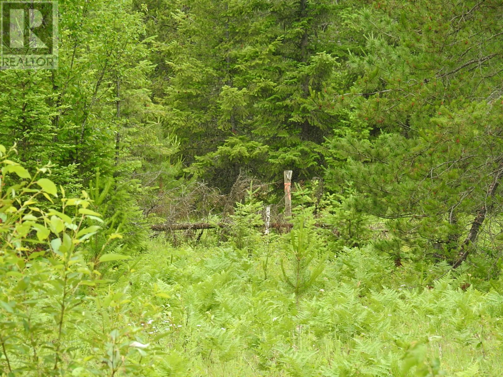 












9700 6 Highway

,
Edgewood,







British Columbia
V0G1J0

