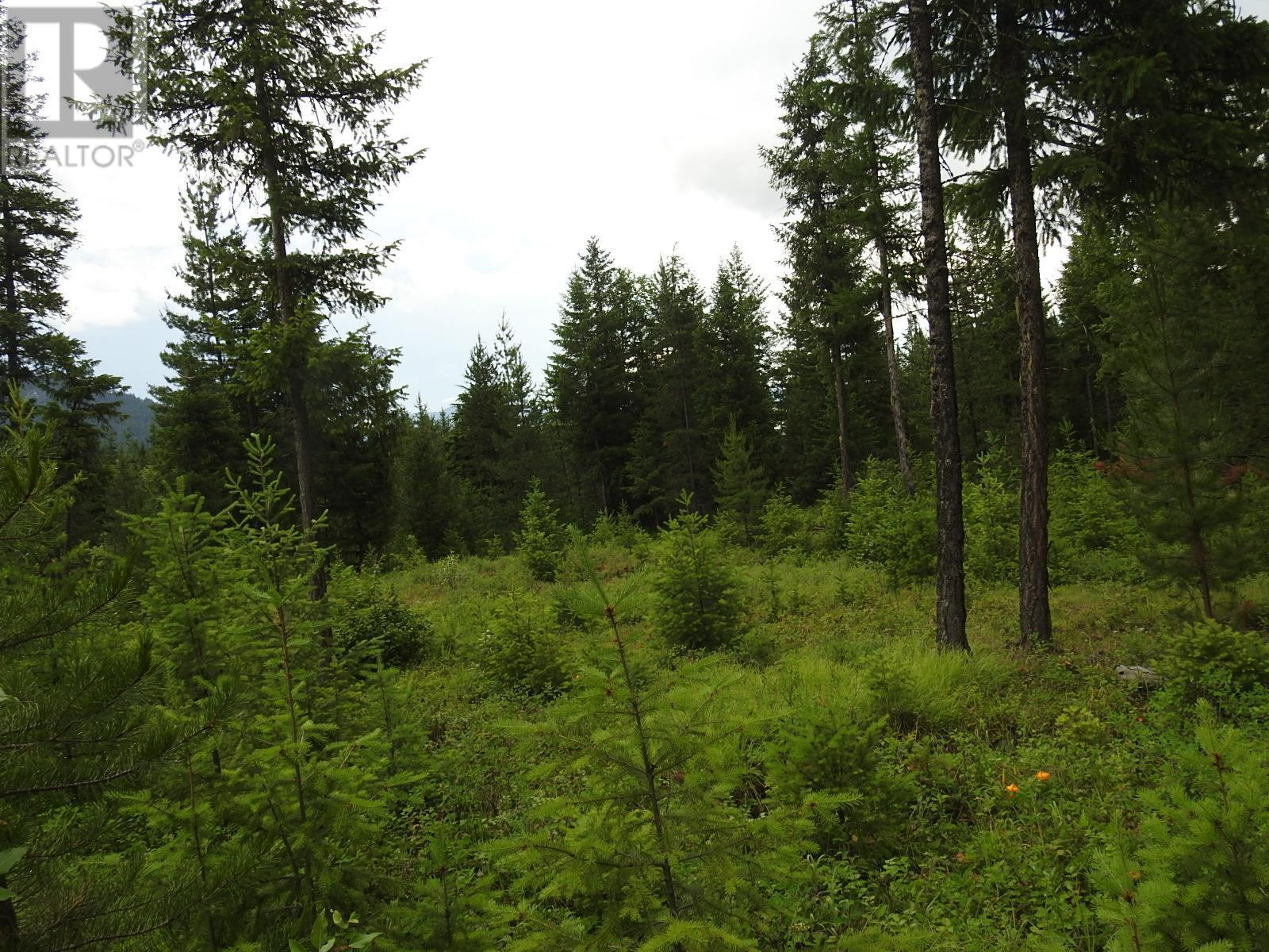 












9700 6 Highway

,
Edgewood,







British Columbia
V0G1J0

