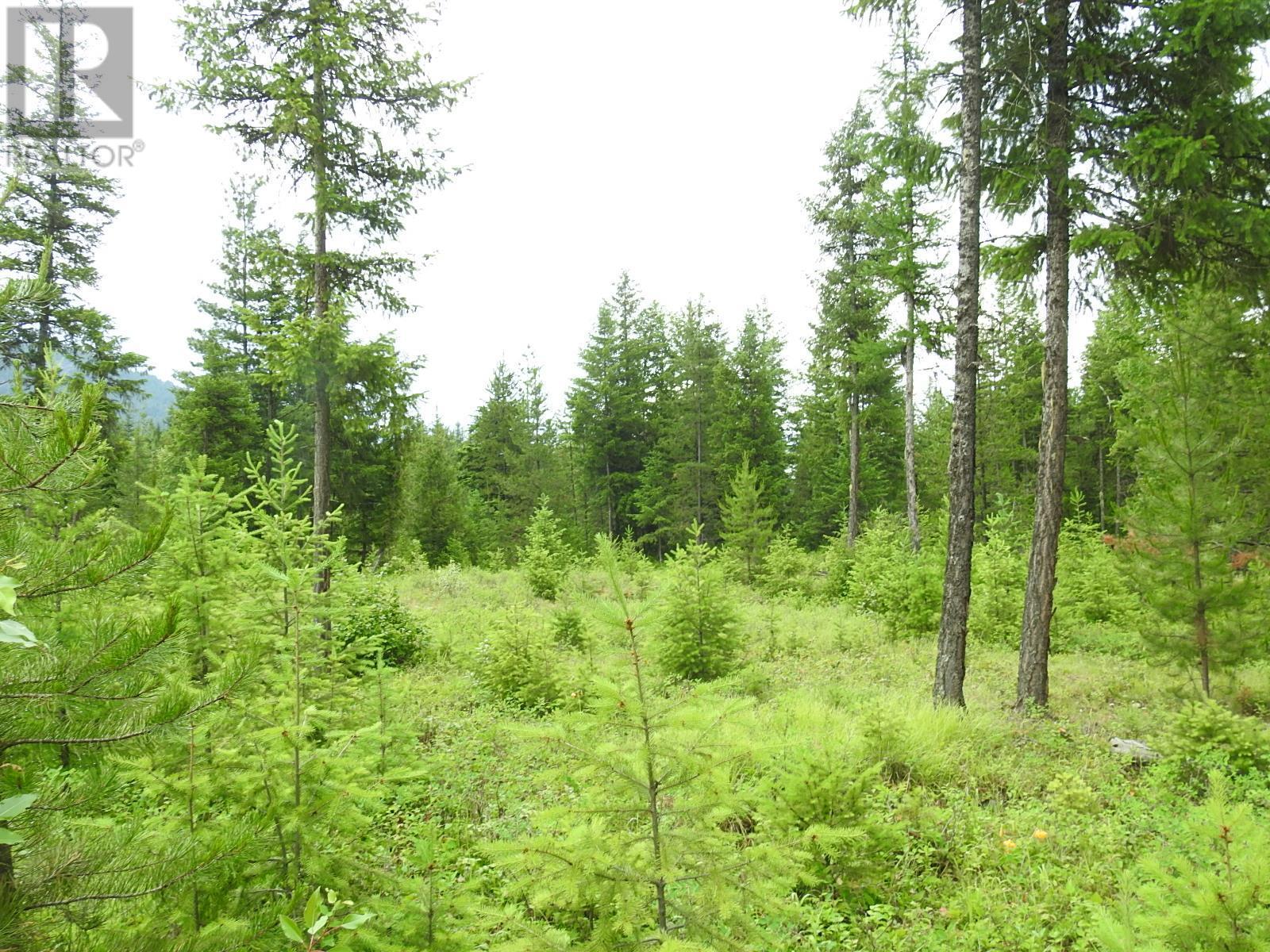 












9700 6 Highway

,
Edgewood,







British Columbia
V0G1J0

