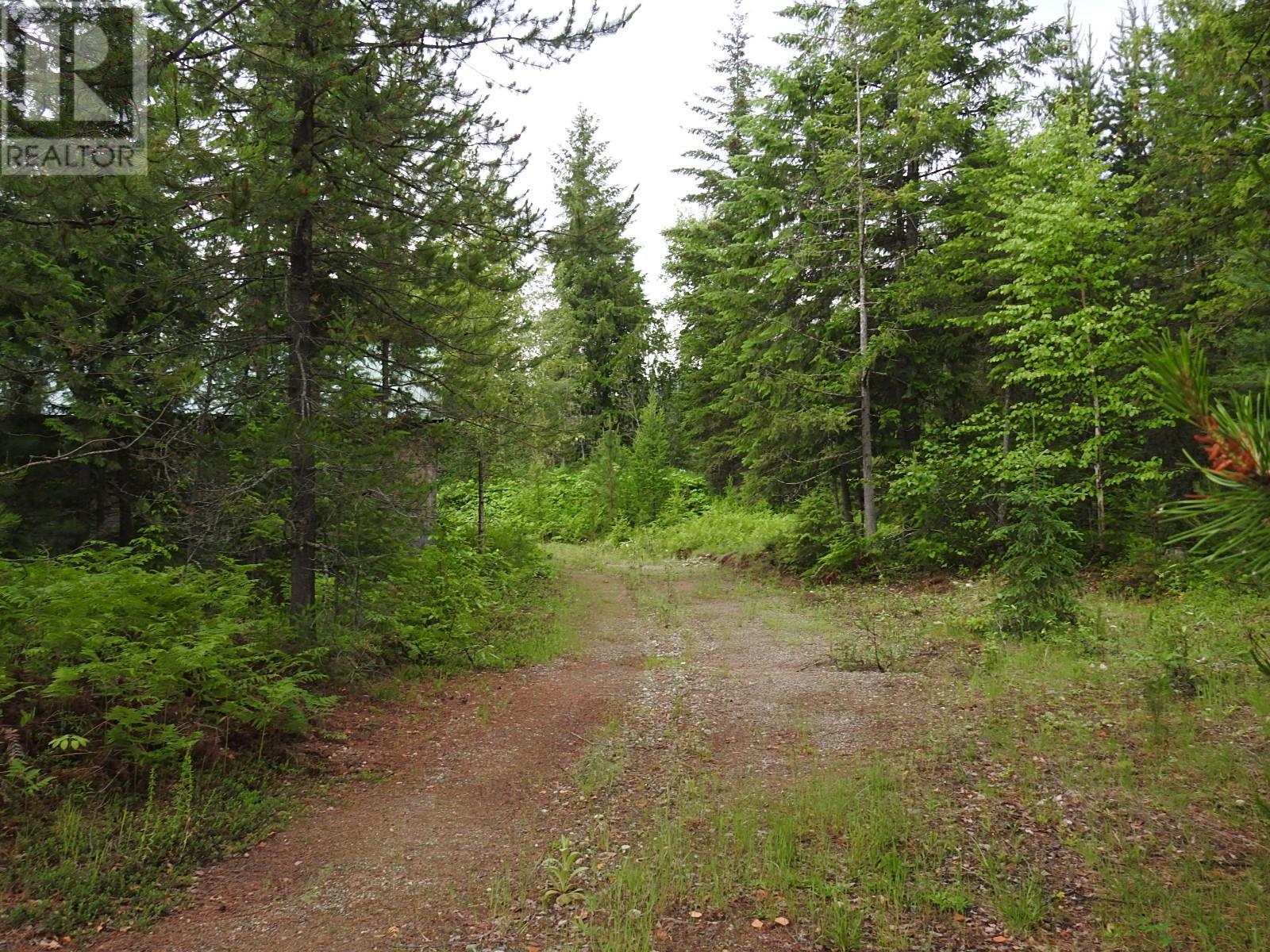 












9700 6 Highway

,
Edgewood,







British Columbia
V0G1J0

