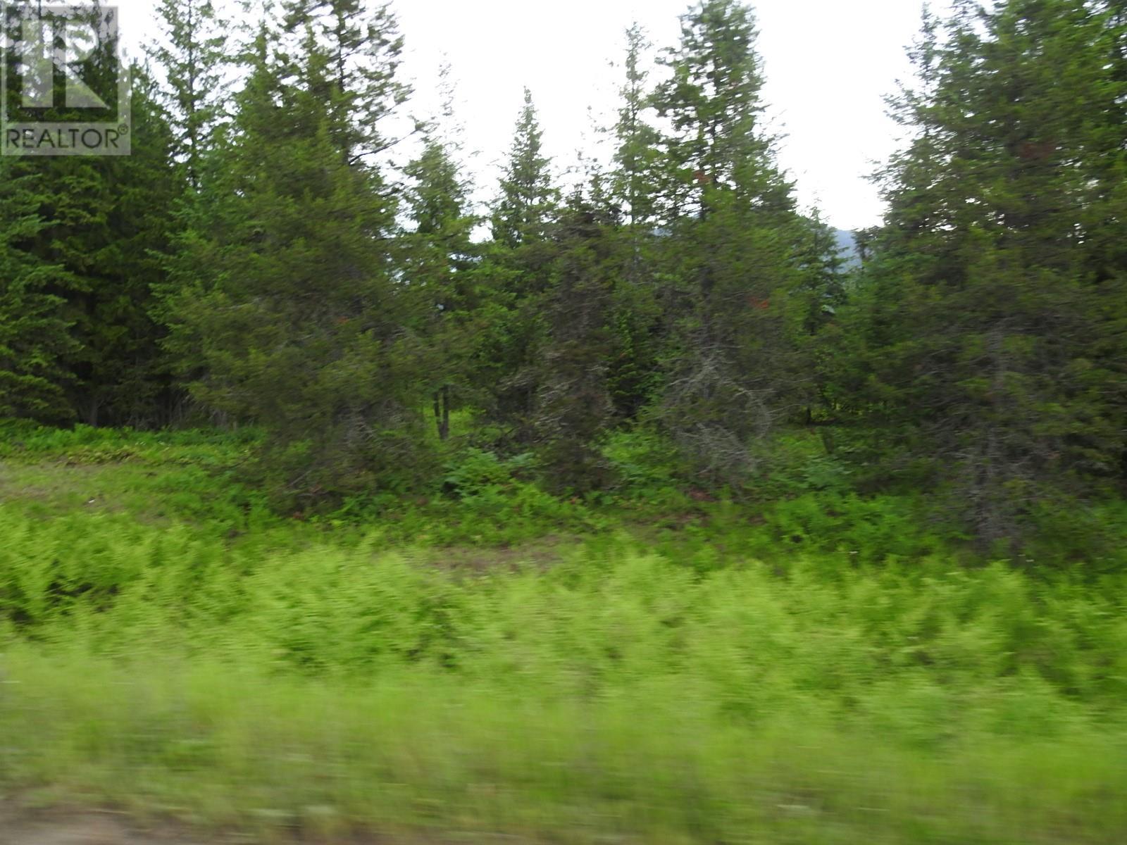 












9700 6 Highway

,
Edgewood,







British Columbia
V0G1J0

