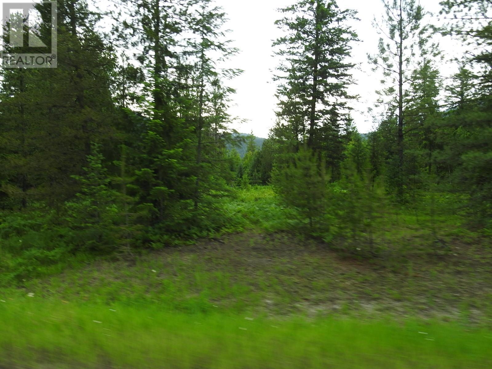 












9700 6 Highway

,
Edgewood,







British Columbia
V0G1J0

