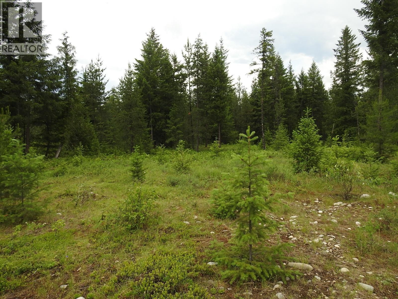 












9700 6 Highway

,
Edgewood,







British Columbia
V0G1J0

