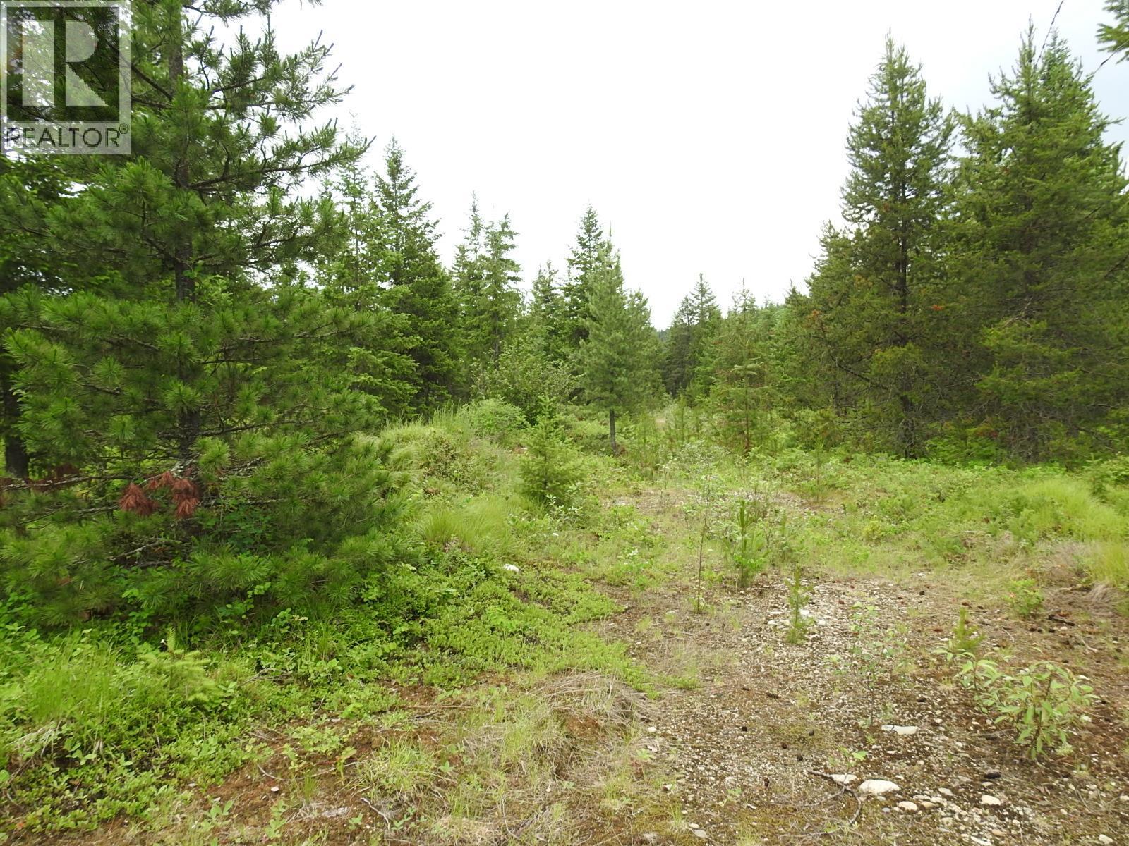 












9700 6 Highway

,
Edgewood,







British Columbia
V0G1J0

