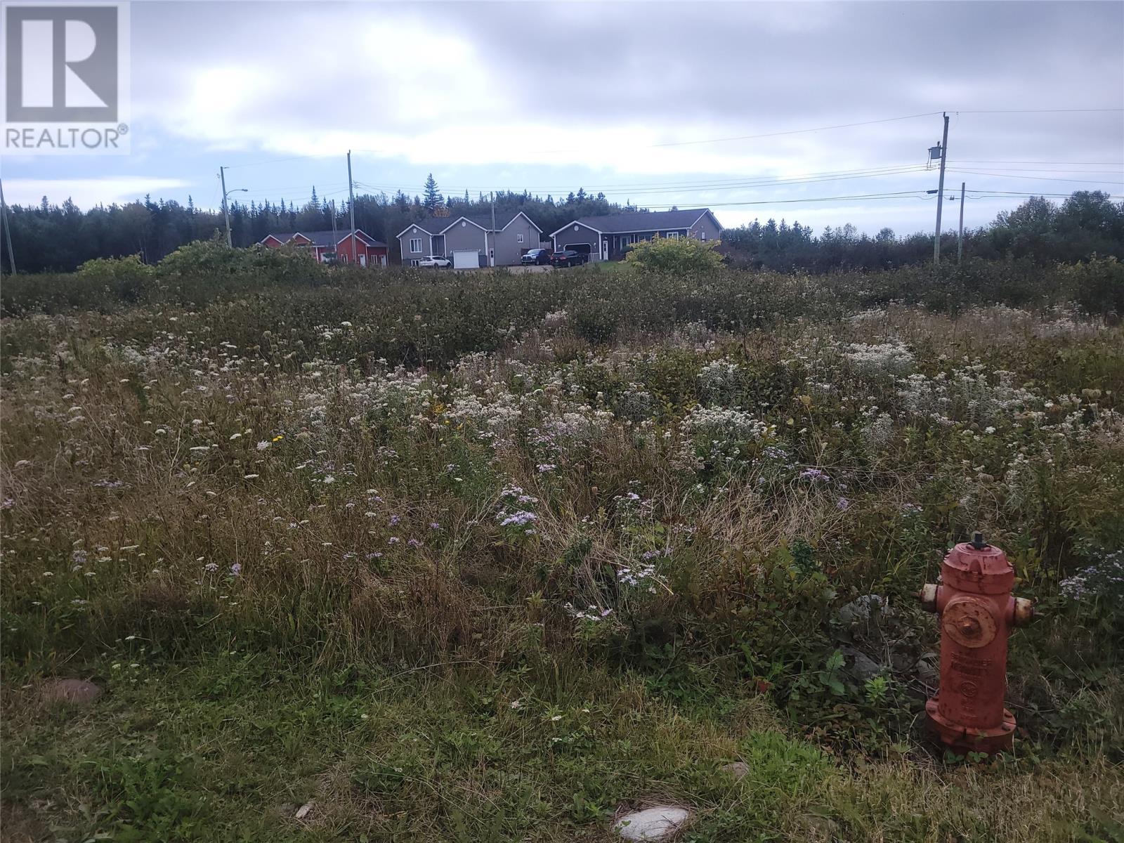 












4 Logan Crescent

,
Stephenville,







Newfoundland & Labrador
A2N0B7

