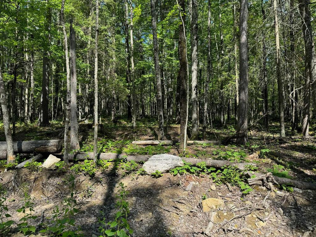 












Rue Non Disponible-Unavailable

,
Sainte-Thérèse-de-la-Gatineau,







QC
J0X2X0

