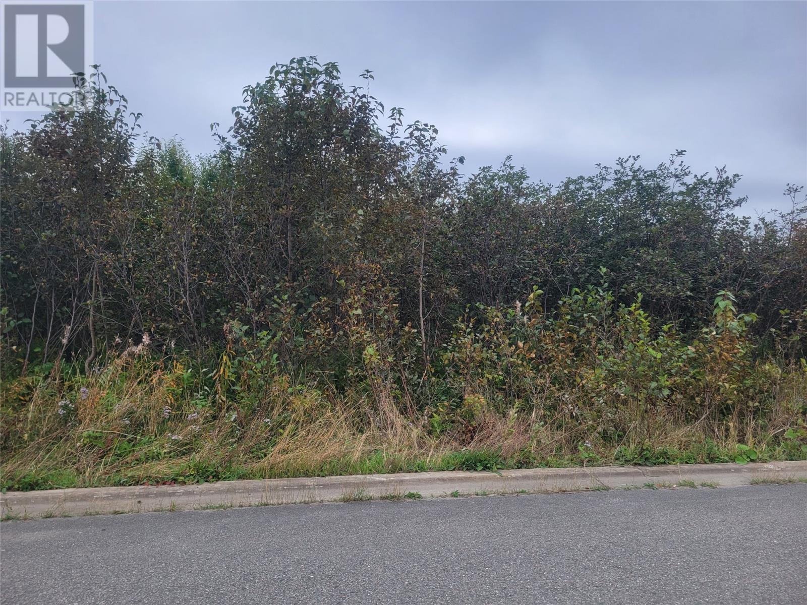 












2 Ridgeview Avenue

,
Stephenville,







Newfoundland & Labrador
A2N0B7

