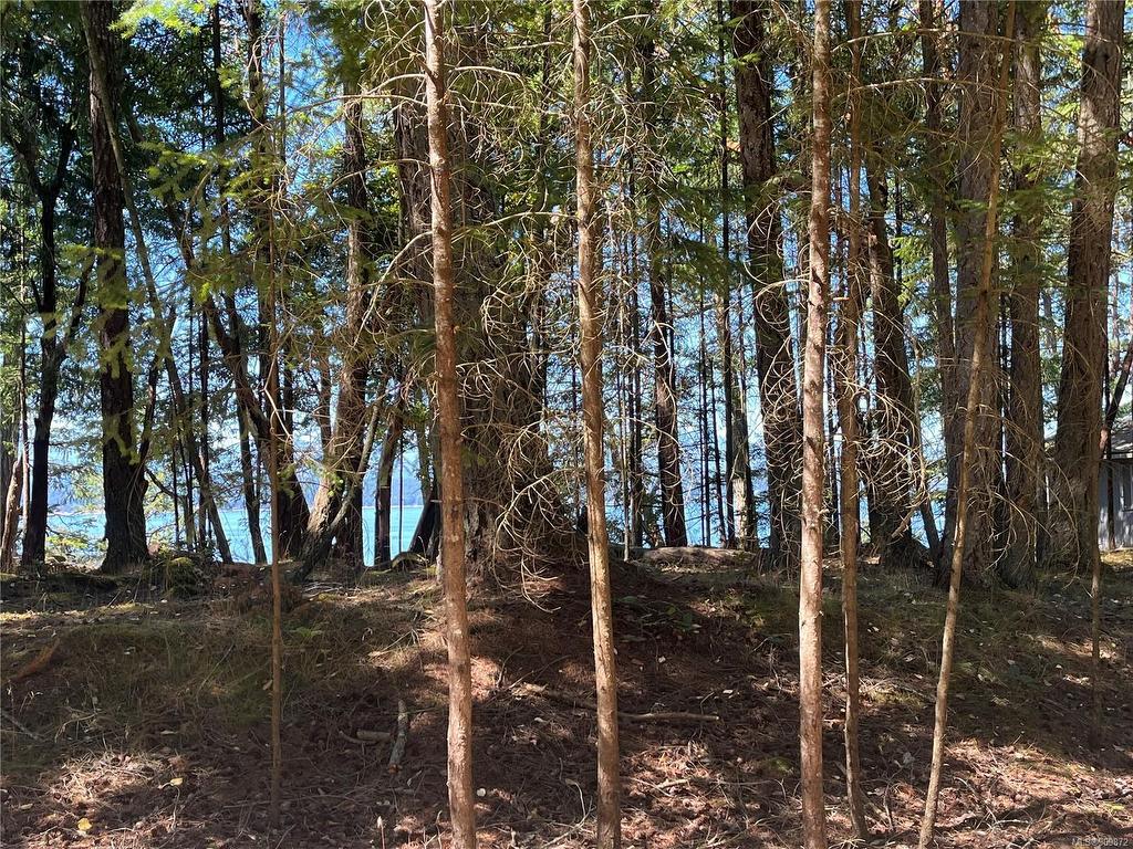









530


Flewett

Dr,
Decourcy Island,




BC
V0R 1X7

